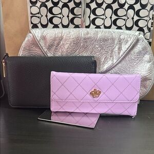 Silver Women's Clutch and wallet bundle
